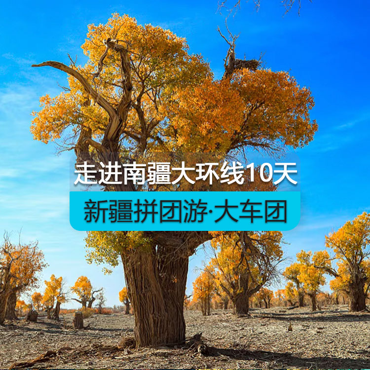 【新疆拼團(tuán)游·大車團(tuán)】走近南疆大環(huán)線10日游（景點包含：博斯騰湖、輪臺胡楊林、359旅紀(jì)念館、沙漠公路、莎車?yán)铣?、白沙湖、喀拉庫勒湖、開城儀式、達(dá)瓦昆沙漠、天山托木爾大峽谷）線路編號：11447