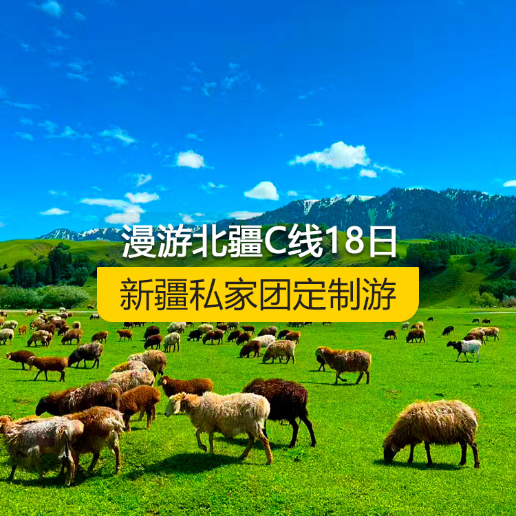 【新疆私家團(tuán)定制游】慢游北疆C線休閑純玩18日游（烏魯木齊起止）產(chǎn)品編號：11539