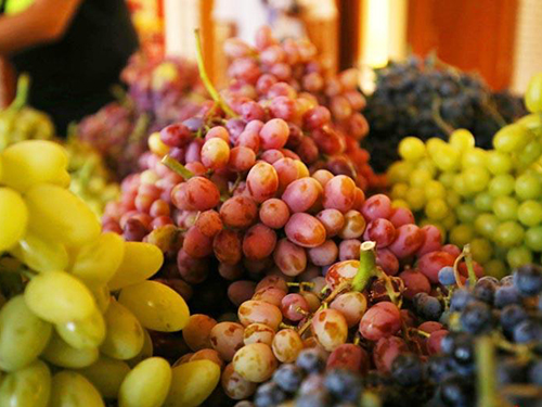 葡萄1.jpg